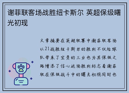 谢菲联客场战胜纽卡斯尔 英超保级曙光初现